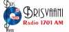 Logo for Radio Brisvaani