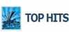 Logo for Sky FM Top Hits Music