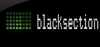Logo for Black Section FM
