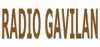 Logo for Radio Gavilan