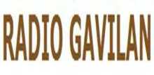 Radio Gavilan