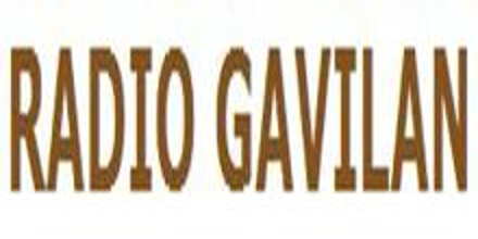 Radio Gavilan