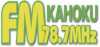 Logo for FM Kahoku