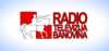 Logo for Radio Banovina