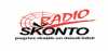 Logo for Radio Skonto