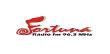 Fortuna Radio Bonyhad