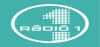 Logo for Radio 1 hu