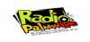 Logo for Radio Palmwine Igbo