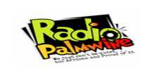 Radio Palmwine Igbo