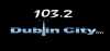 Logo for 103.2 Dublin City FM