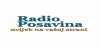 Logo for Radio Posavina