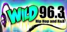 Wild 963 Radio