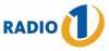 Logo for Radio 1 Ribnica