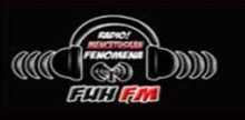 Fuh FM