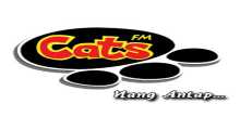 Кішки FM