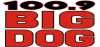Logo for Radio Big Dog