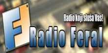 Radio DM Feral