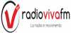 Logo for Radio Viva FM