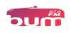 Logo for Bum Radio
