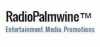 Logo for Palmwine Igbo