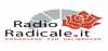 Logo for Radio Radicale