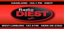 Logo for Radio Diest