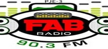 Logo for Fab Radio
