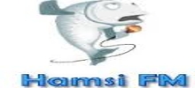 Logo for Hamsi FM