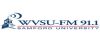 Logo for WVSU 91.1 FM