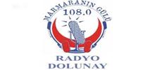 Logo for Dolunay Radyo