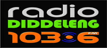 Logo for Radio Diddeleng