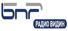 Logo for Radio Vidin