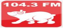 Logo for 104.3 FM