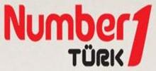 Logo for Number One Turk