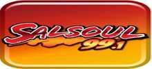 Logo for Salsoul 99.1 FM