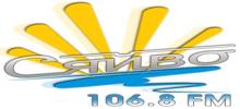 Logo for Syaivo FM