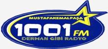 Logo for 1001 FM