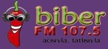 Logo for Biber FM