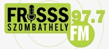 Logo for Frisss FM