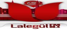 Logo for Lalegul FM