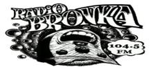 Logo for Radio Bronka