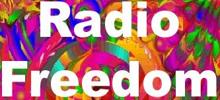 Logo for Radio Freedom