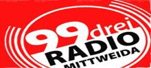Logo for Radio Mittweida