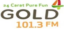 Logo for Gold 101.3 FM
