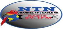 Logo for NTN Radio