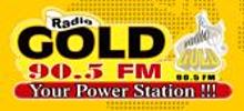 Logo for Radio Gold FM