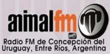 Animal FM