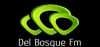 Del Bosque FM