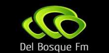 Del Bosque FM