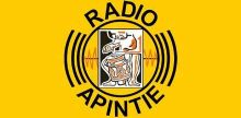 Радио Апинтие